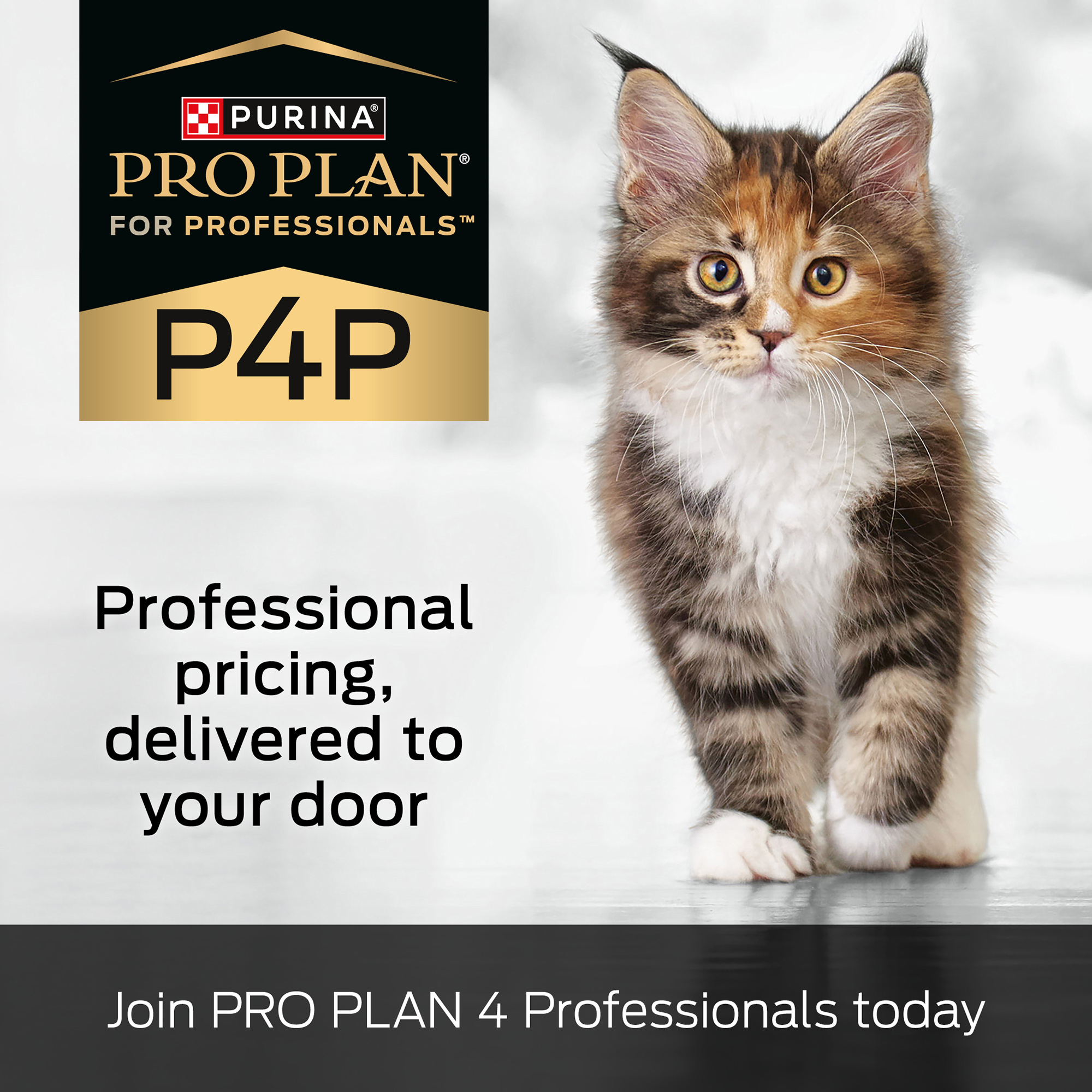 Our fabulous sponsors